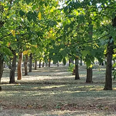 Casa di campagna Maison De Charme Avec Jardin à - Fr-1-616-465