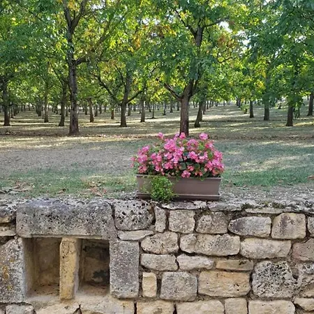 Maison De Charme Avec Jardin à - Fr-1-616-465 *